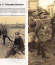 WW2 -  Trilogy about German persecution during the WW2  " A Glimpse of Evil "  Part I / Trilogy - New book  